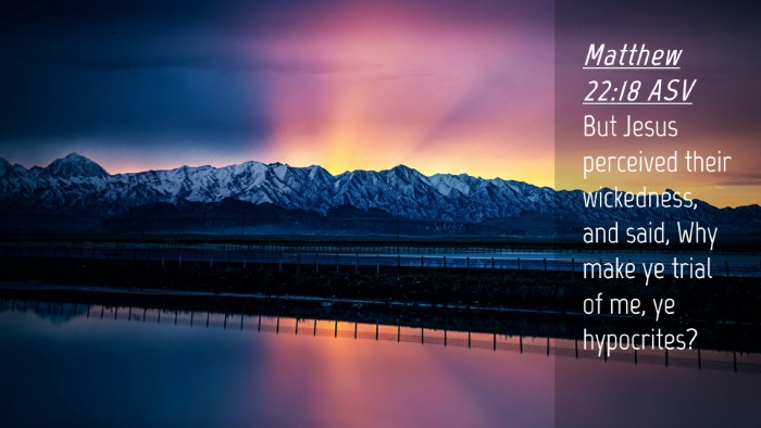 Picture 04 - Matthew 22:18 ASV Desktop Wallpaper - But Jesus perceived their wickedness, and said, - Desktop Bible Verse Wallpaper