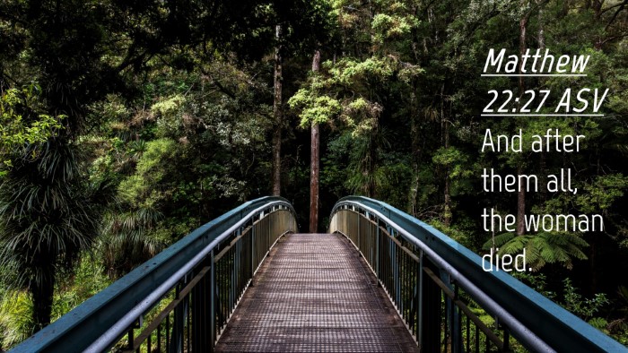 Picture 04 - Matthew 22:27 ASV Desktop Wallpaper - And after them all, the woman - Desktop Bible Verse Wallpaper