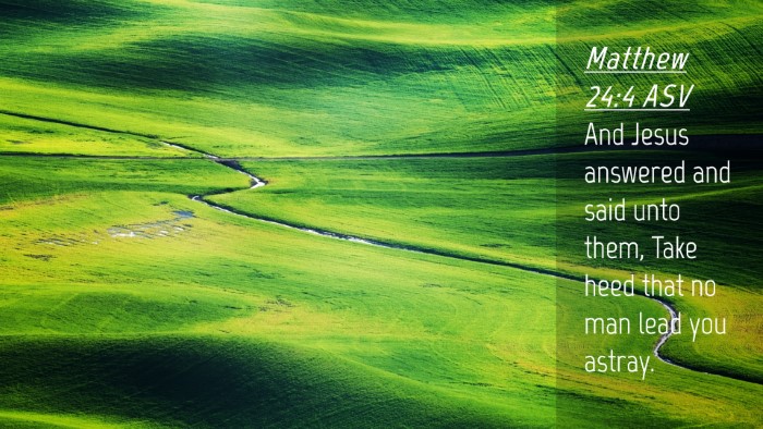 Picture 04 - Matthew 24:4 ASV Desktop Wallpaper - And Jesus answered and said unto them, Take heed - Desktop Bible Verse Wallpaper
