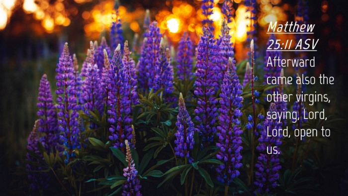Picture 04 - Matthew 25:11 ASV Desktop Wallpaper - Afterward came also the other virgins, saying, - Desktop Bible Verse Wallpaper