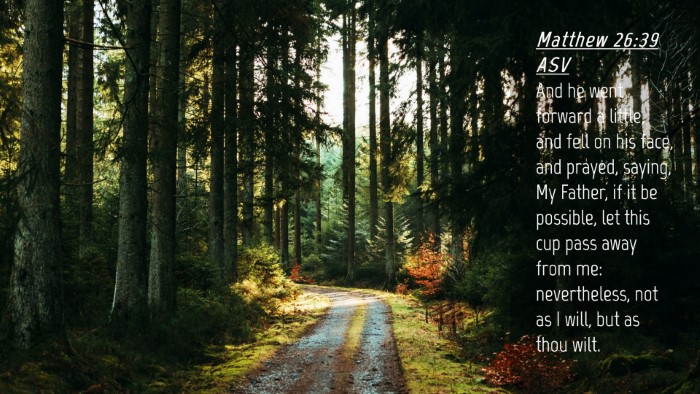 Picture 04 - Matthew 26:39 ASV Desktop Wallpaper - And he went forward a little, and fell on his - Desktop Bible Verse Wallpaper