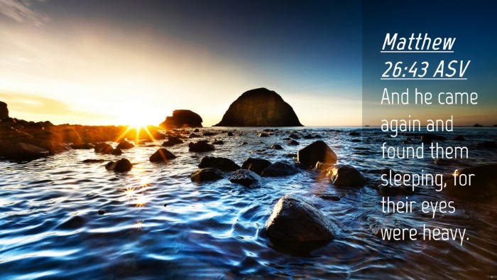 Picture 04 - Matthew 26:43 ASV Desktop Wallpaper - And he came again and found them sleeping, for - Desktop Bible Verse Wallpaper