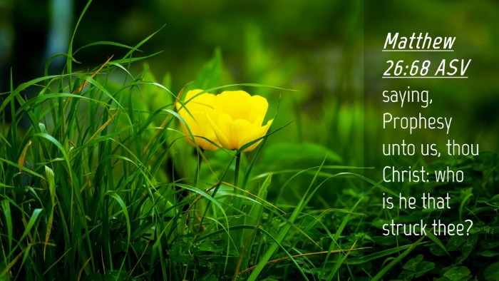Picture 04 - Matthew 26:68 ASV Desktop Wallpaper - saying, Prophesy unto us, thou Christ: who is he - Desktop Bible Verse Wallpaper