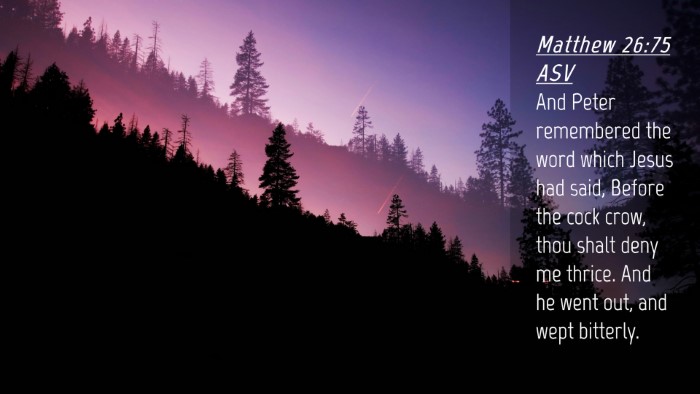 Picture 04 - Matthew 26:75 ASV Desktop Wallpaper - And Peter remembered the word which Jesus had - Desktop Bible Verse Wallpaper