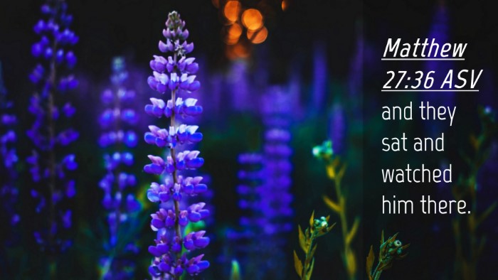 Picture 04 - Matthew 27:36 ASV Desktop Wallpaper - and they sat and watched him - Desktop Bible Verse Wallpaper