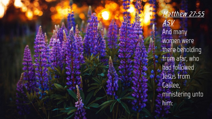 Picture 04 - Matthew 27:55 ASV Desktop Wallpaper - And many women were there beholding from afar, - Desktop Bible Verse Wallpaper