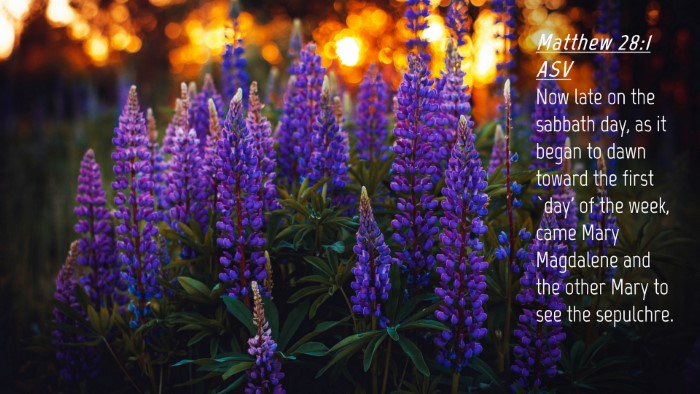 Picture 04 - Matthew 28:1 ASV Desktop Wallpaper - Now late on the sabbath day, as it began to dawn - Desktop Bible Verse Wallpaper