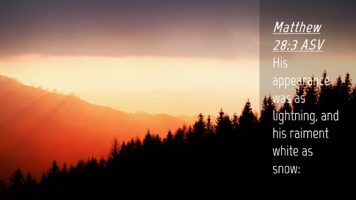 Picture 04 - Matthew 28:3 ASV Desktop Wallpaper - His appearance was as lightning, and his raiment - Desktop Bible Verse Wallpaper