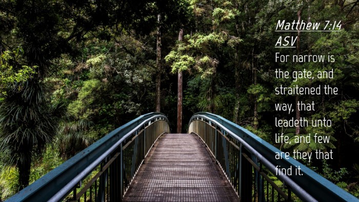Picture 04 - Matthew 7:14 ASV Desktop Wallpaper - For narrow is the gate, and straitened the way, - Desktop Bible Verse Wallpaper