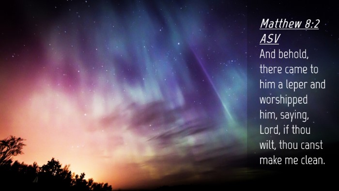 Picture 04 - Matthew 8:2 ASV Desktop Wallpaper - And behold, there came to him a leper and - Desktop Bible Verse Wallpaper