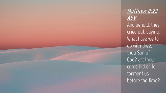 Picture 04 - Matthew 8:29 ASV Desktop Wallpaper - And behold, they cried out, saying, What have we - Desktop Bible Verse Wallpaper