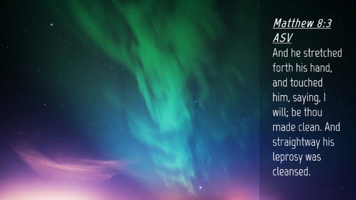 Picture 04 - Matthew 8:3 ASV Desktop Wallpaper - And he stretched forth his hand, and touched him, - Desktop Bible Verse Wallpaper