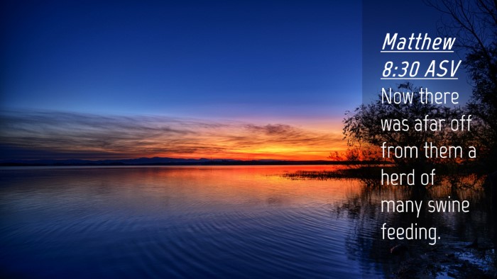 Picture 04 - Matthew 8:30 ASV Desktop Wallpaper - Now there was afar off from them a herd of many - Desktop Bible Verse Wallpaper