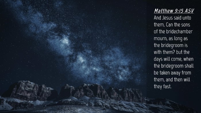 Picture 04 - Matthew 9:15 ASV Desktop Wallpaper - And Jesus said unto them, Can the sons of the - Desktop Bible Verse Wallpaper