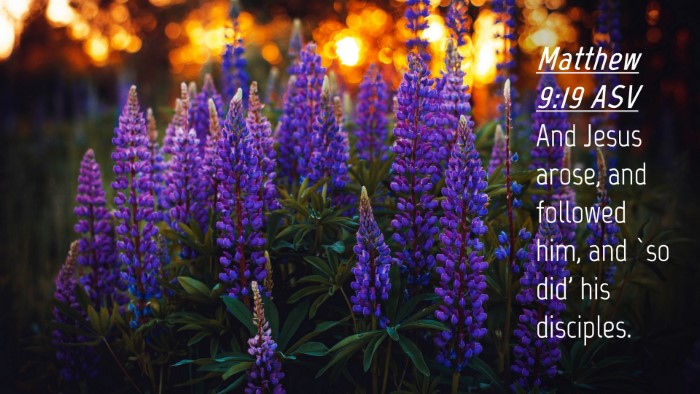 Picture 04 - Matthew 9:19 ASV Desktop Wallpaper - And Jesus arose, and followed him, and `so did' - Desktop Bible Verse Wallpaper