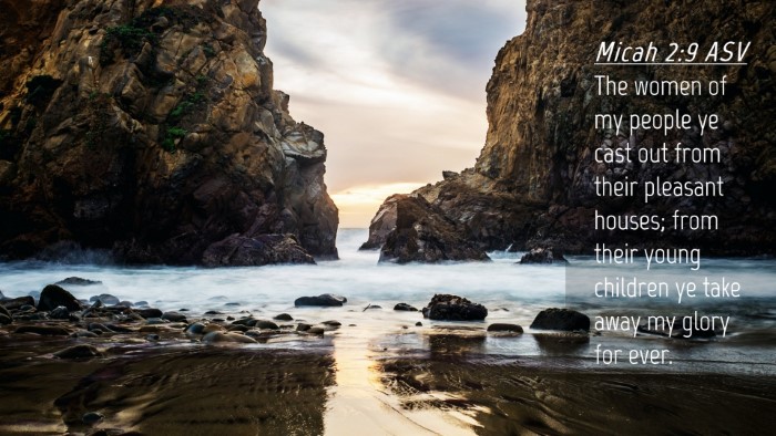 Picture 04 - Micah 2:9 ASV Desktop Wallpaper - The women of my people ye cast out from their - Desktop Bible Verse Wallpaper