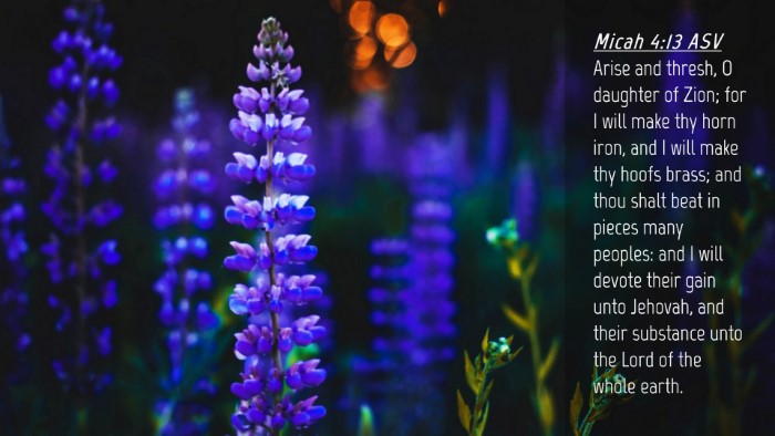 Picture 04 - Micah 4:13 ASV Desktop Wallpaper - Arise and thresh, O daughter of Zion; for I will - Desktop Bible Verse Wallpaper