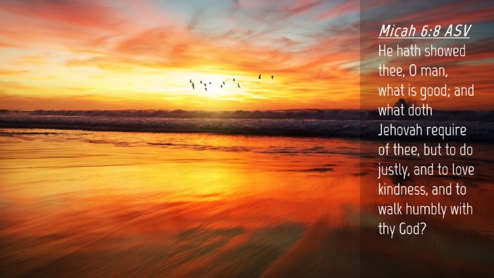 Picture 04 - Micah 6:8 ASV Desktop Wallpaper - He hath showed thee, O man, what is good; and - Desktop Bible Verse Wallpaper