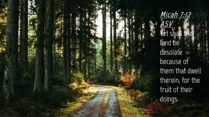 Picture 04 - Micah 7:13 ASV Desktop Wallpaper - Yet shall the land be desolate because of them - Desktop Bible Verse Wallpaper