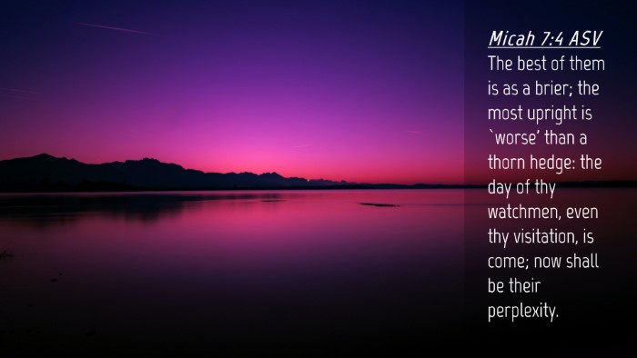Picture 04 - Micah 7:4 ASV Desktop Wallpaper - The best of them is as a brier; the most upright - Desktop Bible Verse Wallpaper