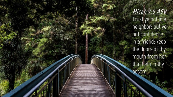 Picture 04 - Micah 7:5 ASV Desktop Wallpaper - Trust ye not in a neighbor; put ye not confidence - Desktop Bible Verse Wallpaper