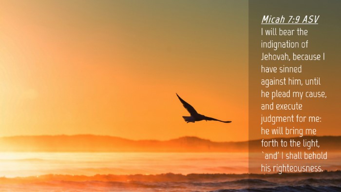 Picture 04 - Micah 7:9 ASV Desktop Wallpaper - I will bear the indignation of Jehovah, because I - Desktop Bible Verse Wallpaper