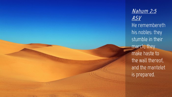 Picture 04 - Nahum 2:5 ASV Desktop Wallpaper - He remembereth his nobles: they stumble in their - Desktop Bible Verse Wallpaper