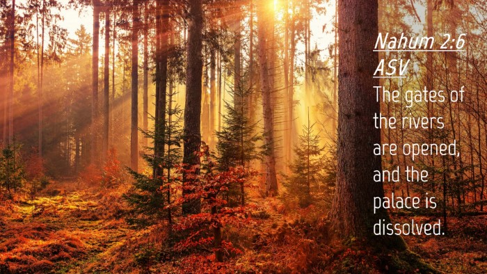 Picture 04 - Nahum 2:6 ASV Desktop Wallpaper - The gates of the rivers are opened, and the - Desktop Bible Verse Wallpaper