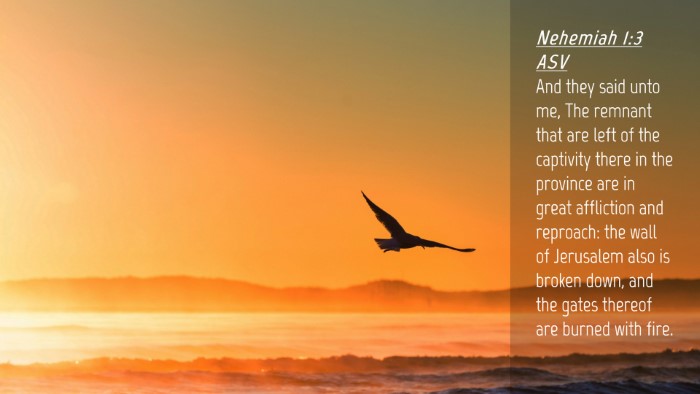 Picture 04 - Nehemiah 1:3 ASV Desktop Wallpaper - And they said unto me, The remnant that are left - Desktop Bible Verse Wallpaper