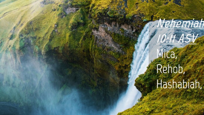 Picture 04 - Nehemiah 10:11 ASV Desktop Wallpaper - Mica, Rehob, - Desktop Bible Verse Wallpaper