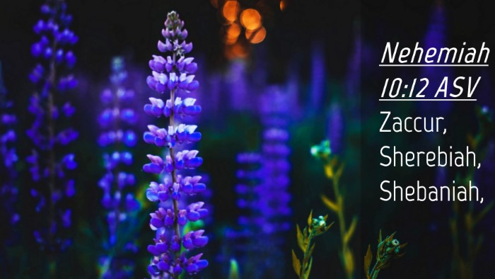 Picture 04 - Nehemiah 10:12 ASV Desktop Wallpaper - Zaccur, Sherebiah, - Desktop Bible Verse Wallpaper
