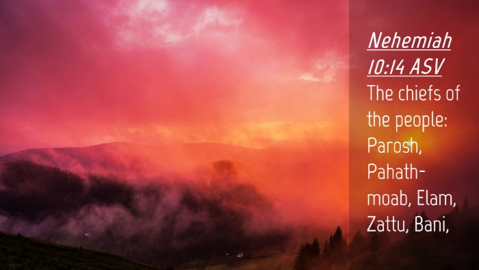 Picture 04 - Nehemiah 10:14 ASV Desktop Wallpaper - The chiefs of the people: Parosh, Pahath-moab, - Desktop Bible Verse Wallpaper