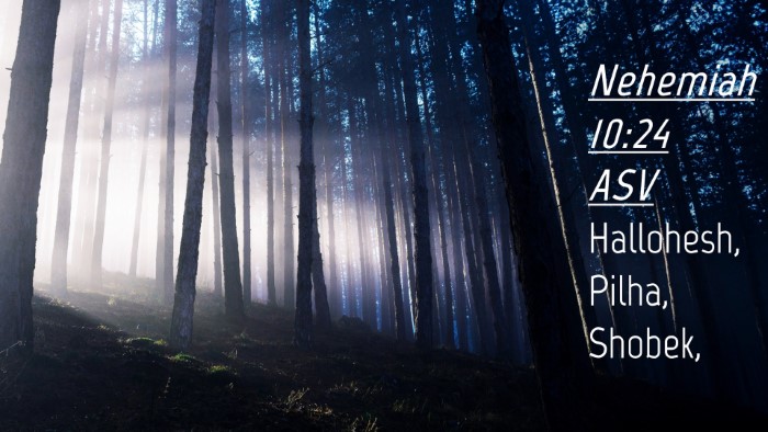 Picture 04 - Nehemiah 10:24 ASV Desktop Wallpaper - Hallohesh, Pilha, - Desktop Bible Verse Wallpaper