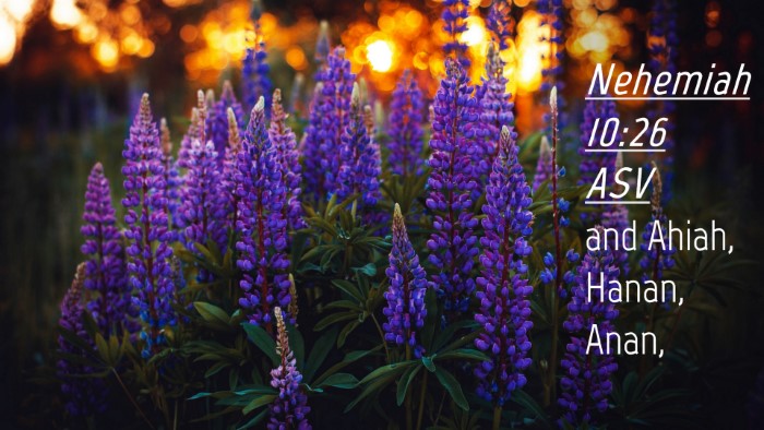 Picture 04 - Nehemiah 10:26 ASV Desktop Wallpaper - and Ahiah, Hanan, - Desktop Bible Verse Wallpaper