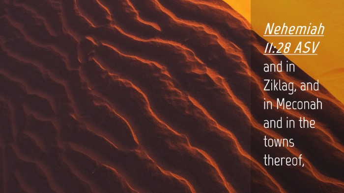 Picture 04 - Nehemiah 11:28 ASV Desktop Wallpaper - and in Ziklag, and in Meconah and in the towns - Desktop Bible Verse Wallpaper
