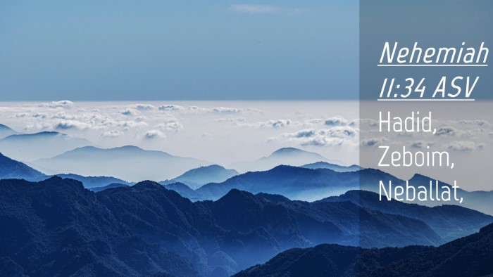 Picture 04 - Nehemiah 11:34 ASV Desktop Wallpaper - Hadid, Zeboim, - Desktop Bible Verse Wallpaper