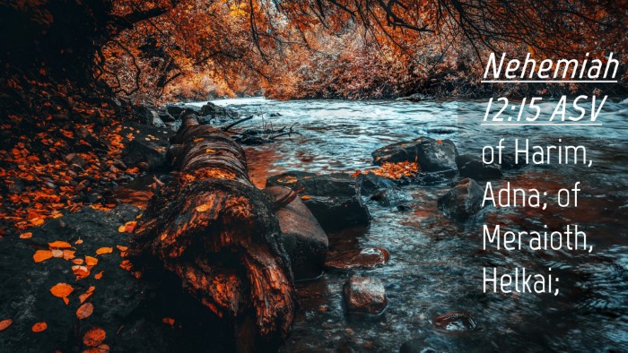 Picture 04 - Nehemiah 12:15 ASV Desktop Wallpaper - of Harim, Adna; of Meraioth, - Desktop Bible Verse Wallpaper