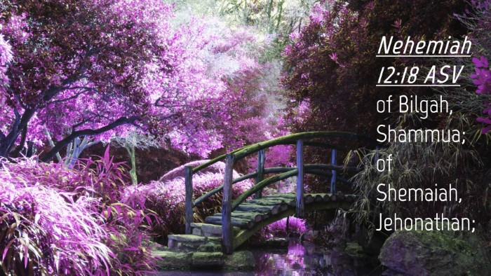Picture 04 - Nehemiah 12:18 ASV Desktop Wallpaper - of Bilgah, Shammua; of Shemaiah, - Desktop Bible Verse Wallpaper