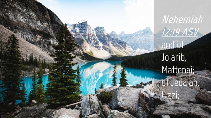 Picture 04 - Nehemiah 12:19 ASV Desktop Wallpaper - and of Joiarib, Mattenai; of Jedaiah, - Desktop Bible Verse Wallpaper