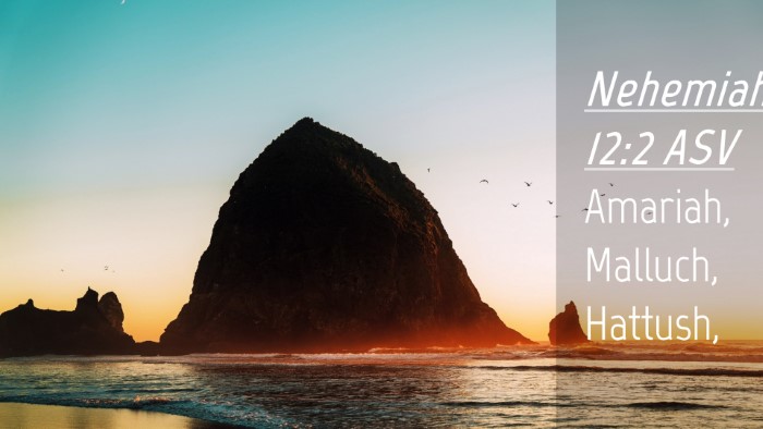 Picture 04 - Nehemiah 12:2 ASV Desktop Wallpaper - Amariah, Malluch, - Desktop Bible Verse Wallpaper