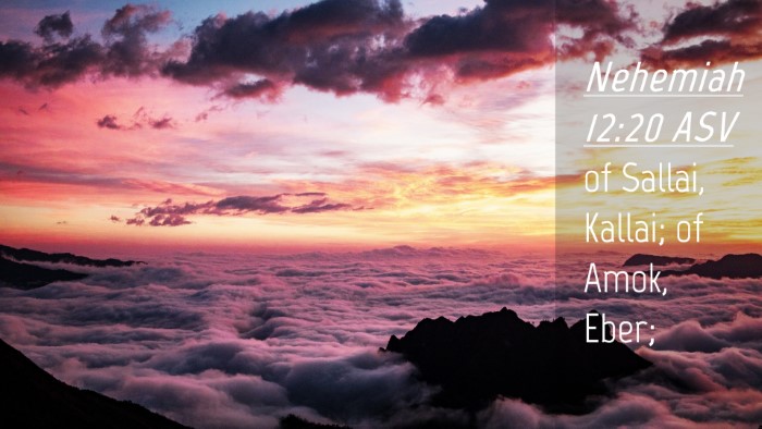 Picture 04 - Nehemiah 12:20 ASV Desktop Wallpaper - of Sallai, Kallai; of Amok, - Desktop Bible Verse Wallpaper