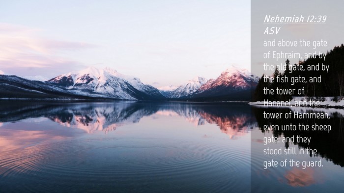 Picture 04 - Nehemiah 12:39 ASV Desktop Wallpaper - and above the gate of Ephraim, and by the old - Desktop Bible Verse Wallpaper