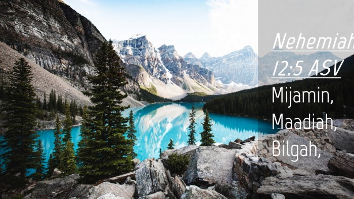 Picture 04 - Nehemiah 12:5 ASV Desktop Wallpaper - Mijamin, Maadiah, - Desktop Bible Verse Wallpaper