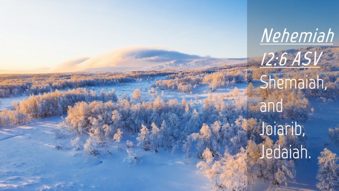 Picture 04 - Nehemiah 12:6 ASV Desktop Wallpaper - Shemaiah, and Joiarib, - Desktop Bible Verse Wallpaper