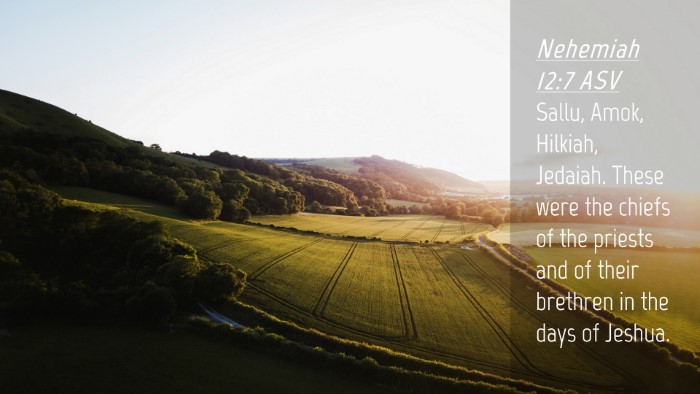 Picture 04 - Nehemiah 12:7 ASV Desktop Wallpaper - Sallu, Amok, Hilkiah, Jedaiah. These were the - Desktop Bible Verse Wallpaper