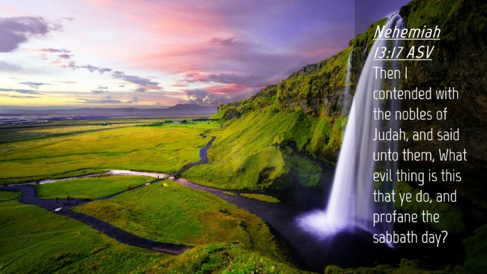 Picture 04 - Nehemiah 13:17 ASV Desktop Wallpaper - Then I contended with the nobles of Judah, and - Desktop Bible Verse Wallpaper