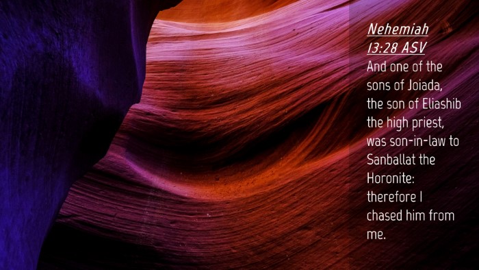 Picture 04 - Nehemiah 13:28 ASV Desktop Wallpaper - And one of the sons of Joiada, the son of - Desktop Bible Verse Wallpaper