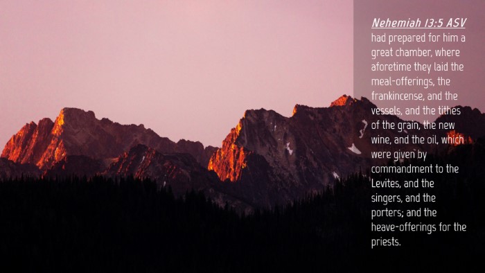 Picture 04 - Nehemiah 13:5 ASV Desktop Wallpaper - had prepared for him a great chamber, where - Desktop Bible Verse Wallpaper