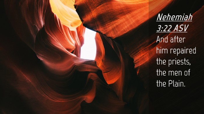 Picture 04 - Nehemiah 3:22 ASV Desktop Wallpaper - And after him repaired the priests, the men of - Desktop Bible Verse Wallpaper