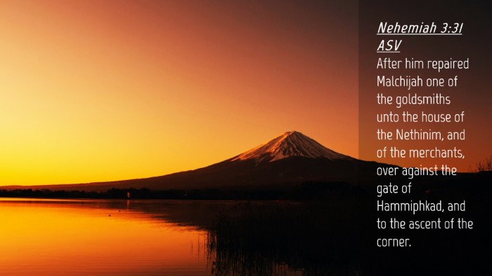 Picture 04 - Nehemiah 3:31 ASV Desktop Wallpaper - After him repaired Malchijah one of the - Desktop Bible Verse Wallpaper